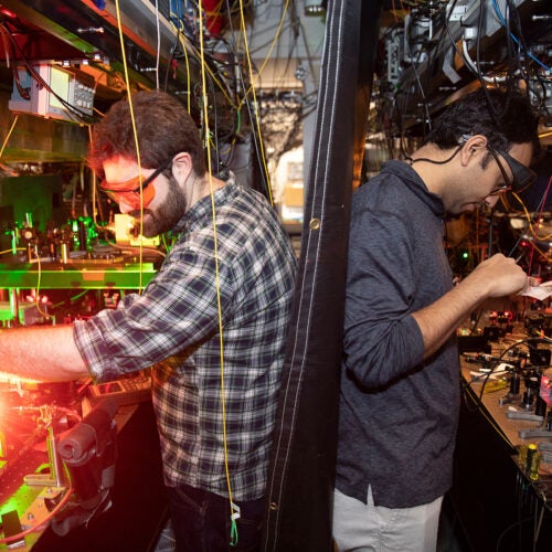 Louis Baum (left) and Debayan Mitra prepare to use lasers to cool polyatomic molecules in Physics Professor John Doyle’s lab. The buffer-gas cooling method pioneered in the lab is being explored for applications as diverse as disease detection and analysis of flavor profiles.
