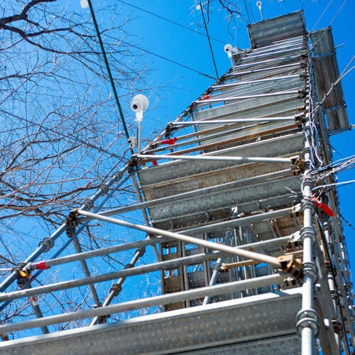 Tower used to study data such as wind patterns at Harvard Forest.
