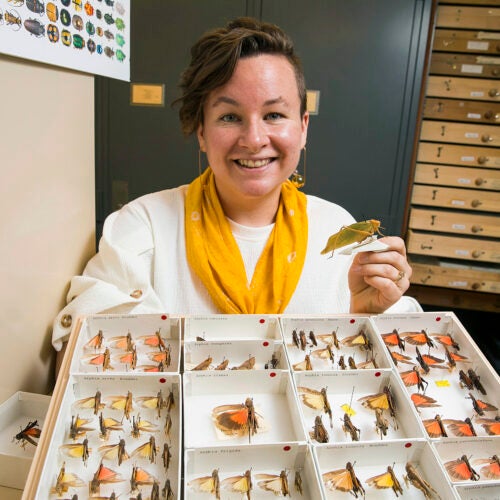 Mary Salcedo describes her passion for insects like “trying to find buried treasure, but the treasure is everywhere.”