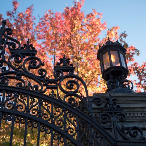 Autumn features of gates and the Barker Center.