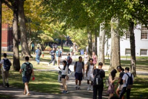 Students walk across Harvard Yard