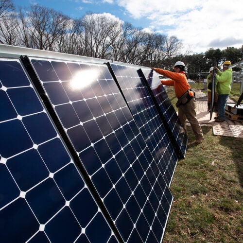 Installing solar panels at the Arnold Arboretum's Weld Hill property