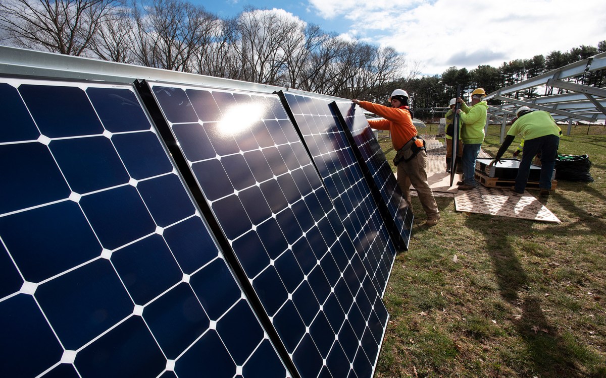 Installing solar panels at the Arnold Arboretum's Weld Hill property