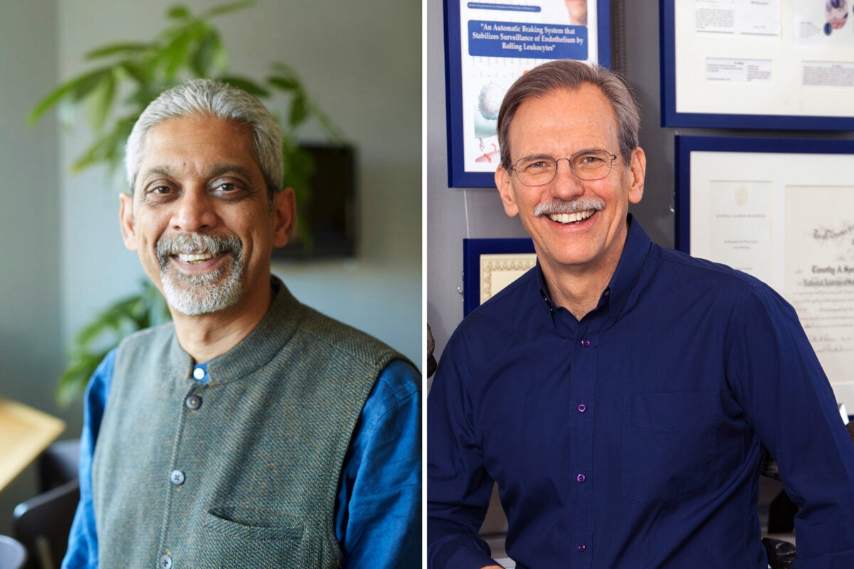 Harvard Medical School researchers Vikram Patel and Timothy Springer, have received the Canada Gairdner Award.