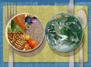 Illustration of two plates, one filled with components of a healthy diet and one filled with planet.