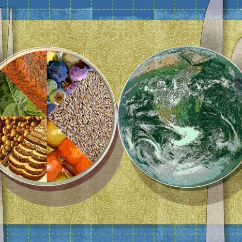 Illustration of two plates, one filled with components of a healthy diet and one filled with planet.