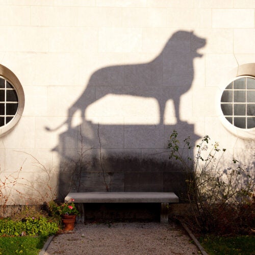 Shadow of bronze lion casts shadow on the wall at Busch Hall garden.