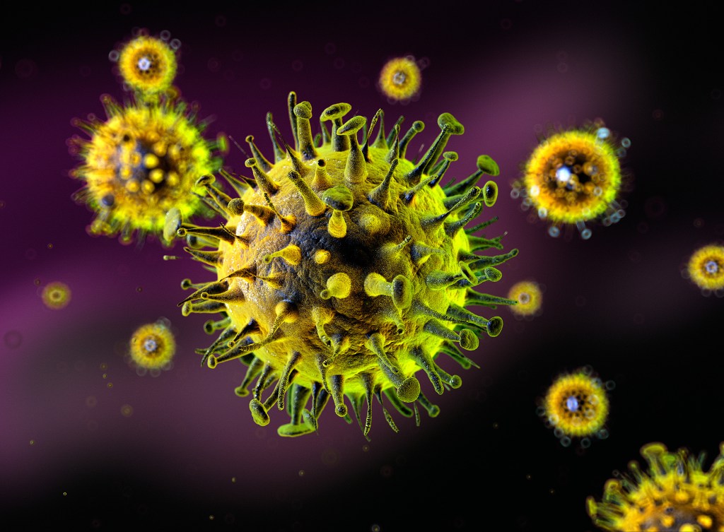 Influenza virus