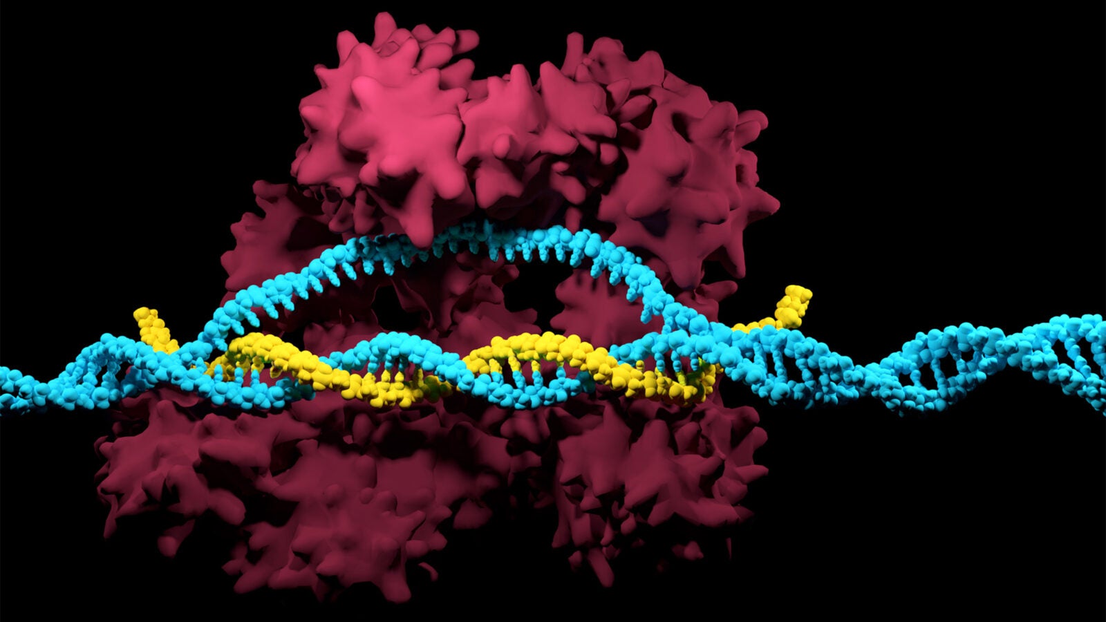 3D render of the CRISPR-Cas9 genome editing system