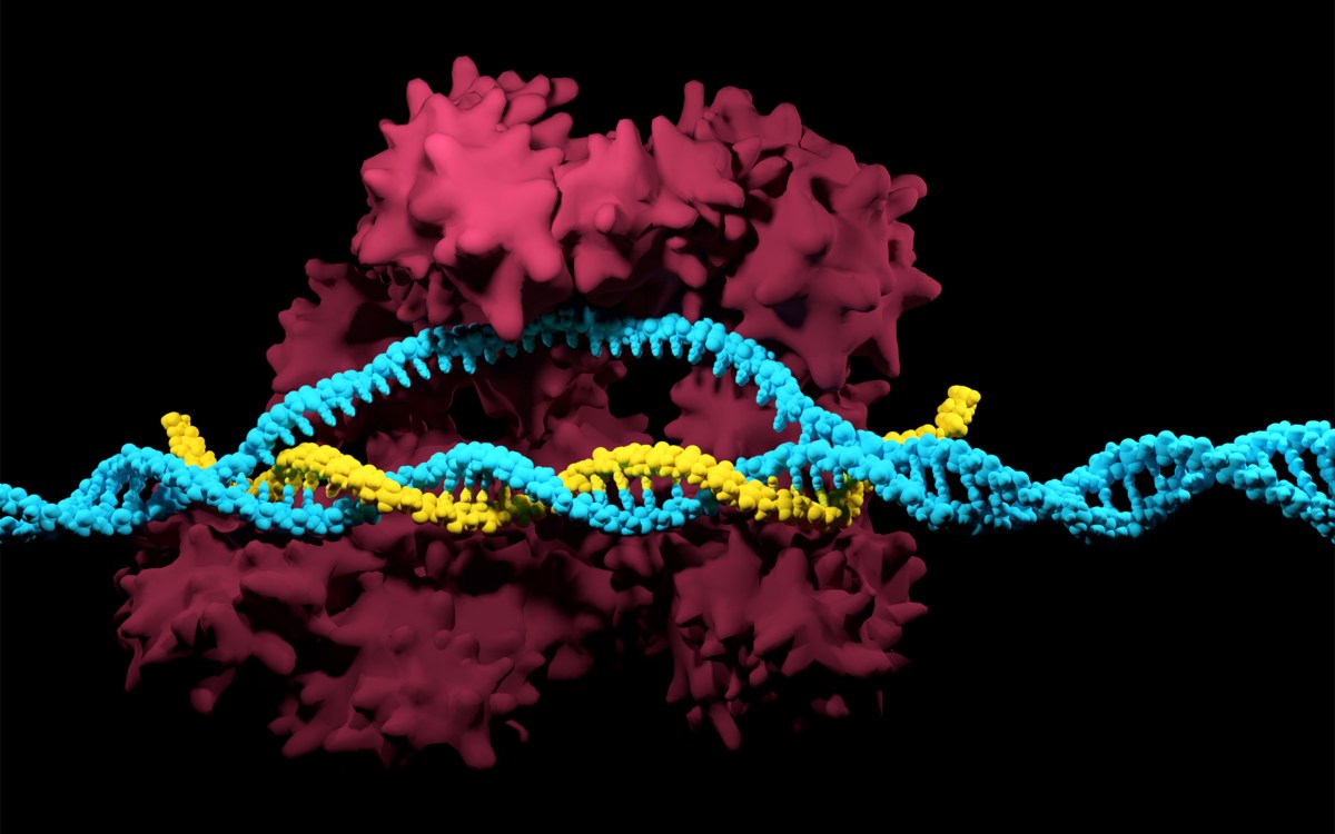 3D render of the CRISPR-Cas9 genome editing system