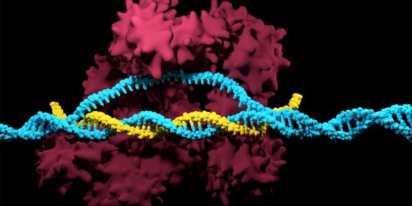 3D render of the CRISPR-Cas9 genome editing system