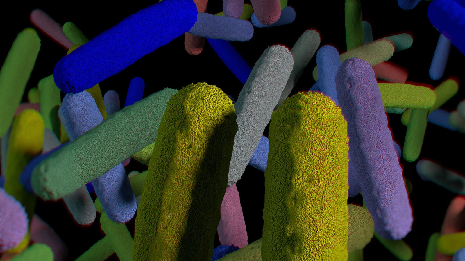 Gut bacteria microbiome. 3D illustration.