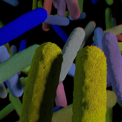 Gut bacteria microbiome. 3D illustration.