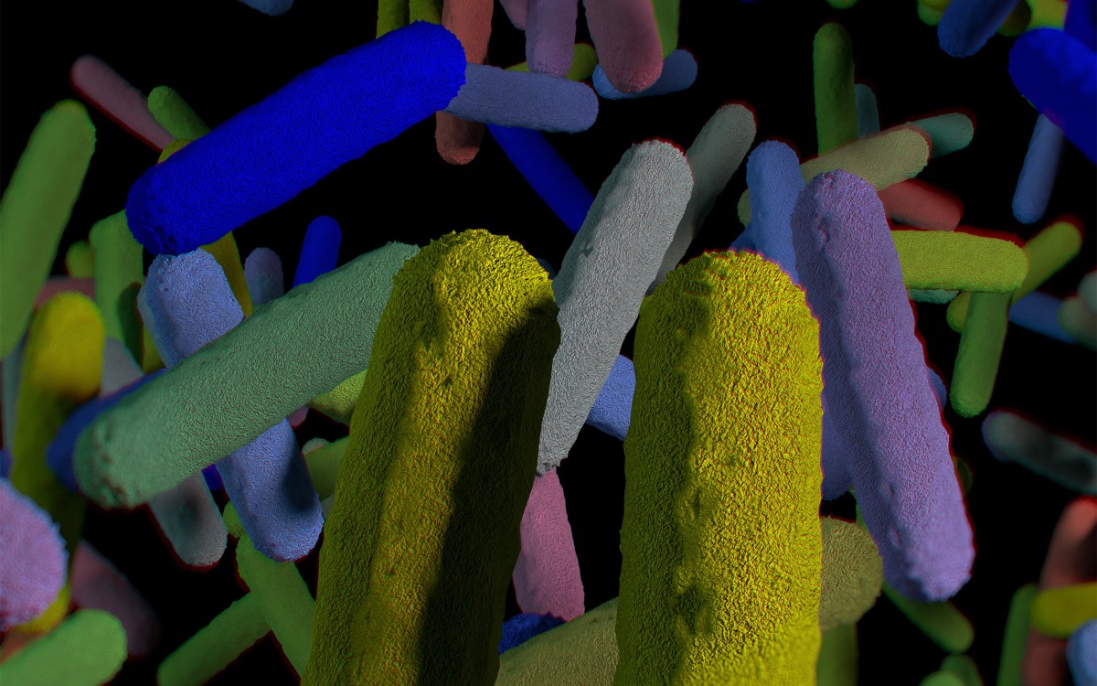 Gut bacteria microbiome. 3D illustration.