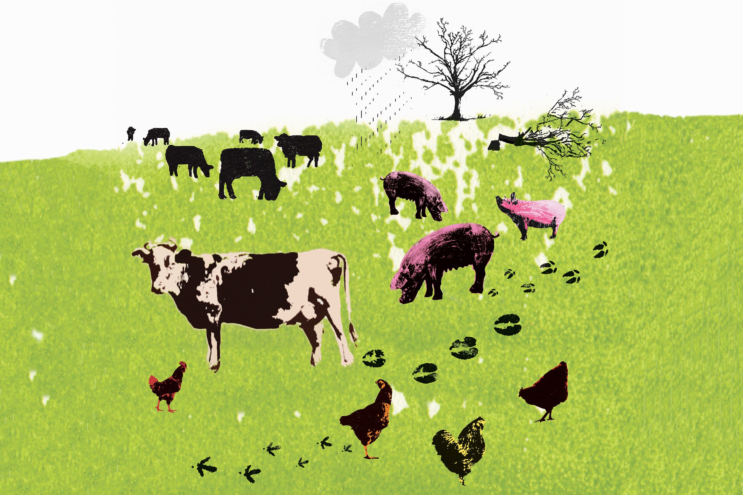 Illustration of farm animals in a field.