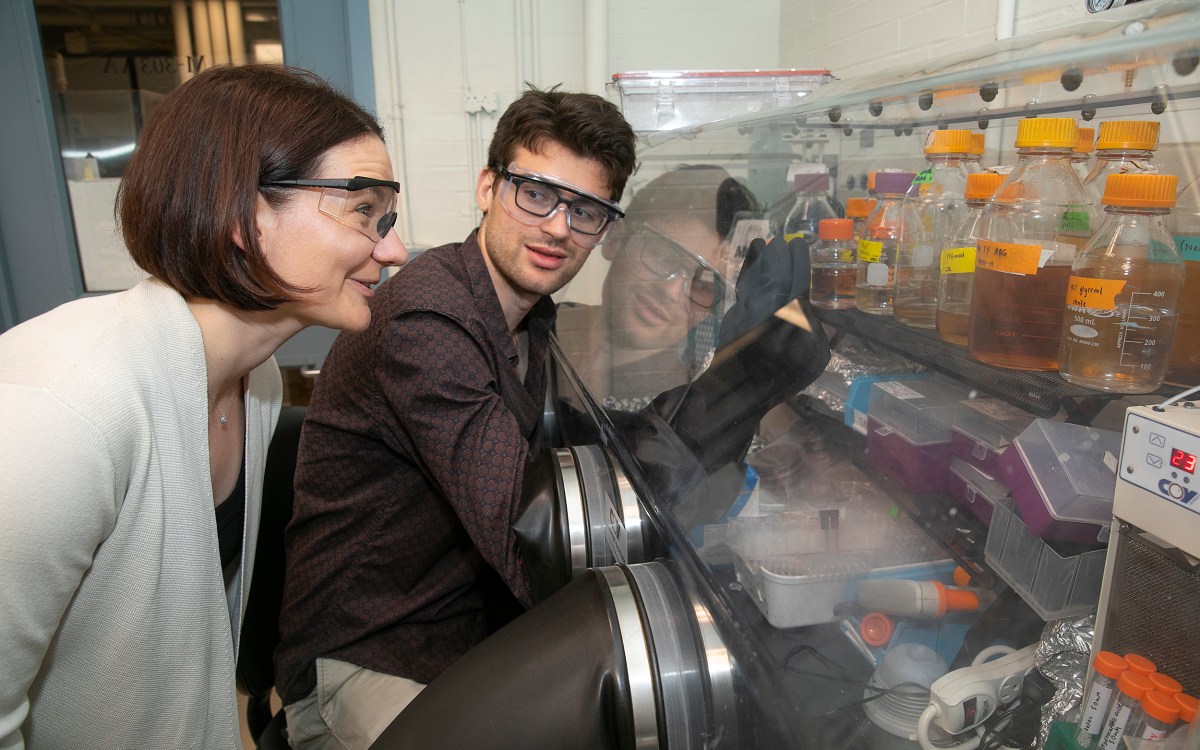 Professor looks over the shoulder of grad student working in the lab