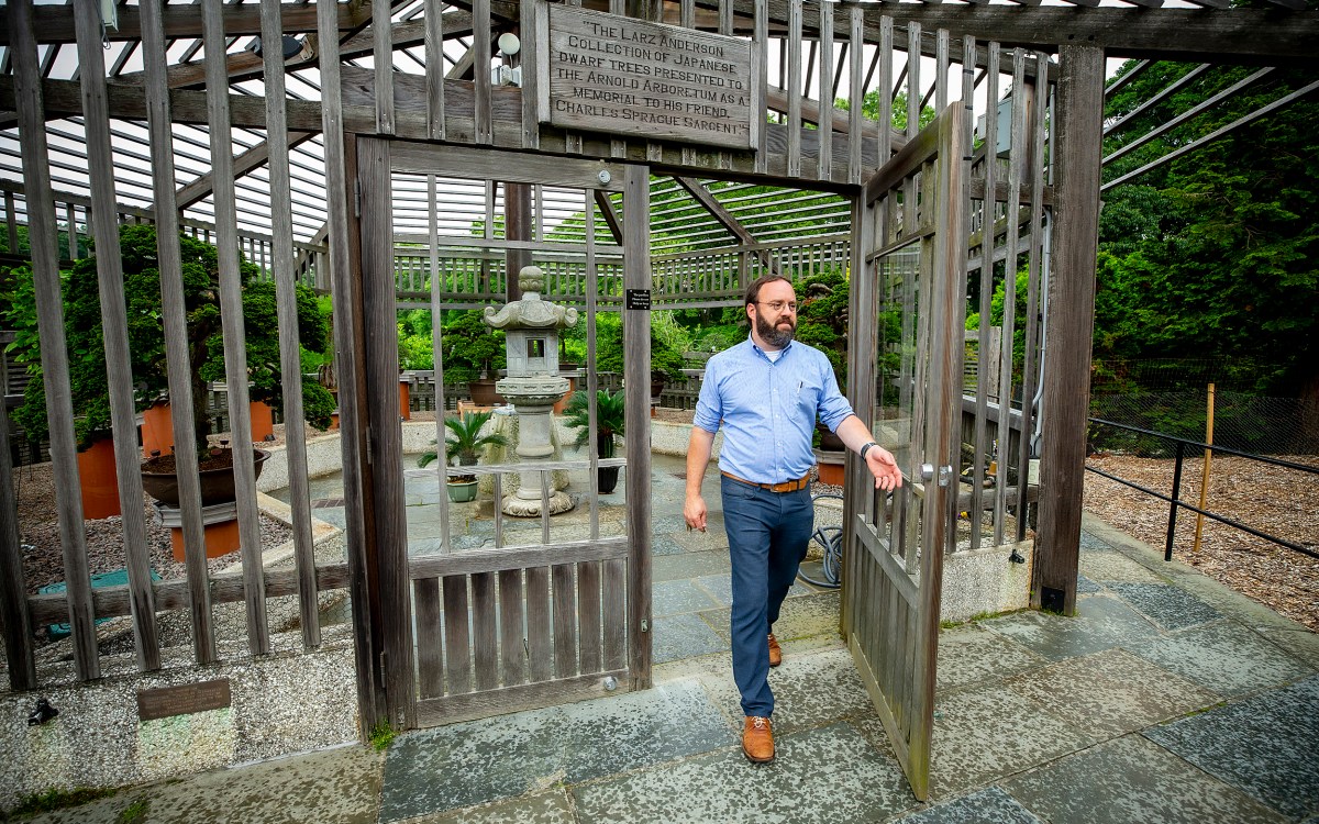 Steve Schneider walking out of bonsai greenhouse at the Arnold Arboretum