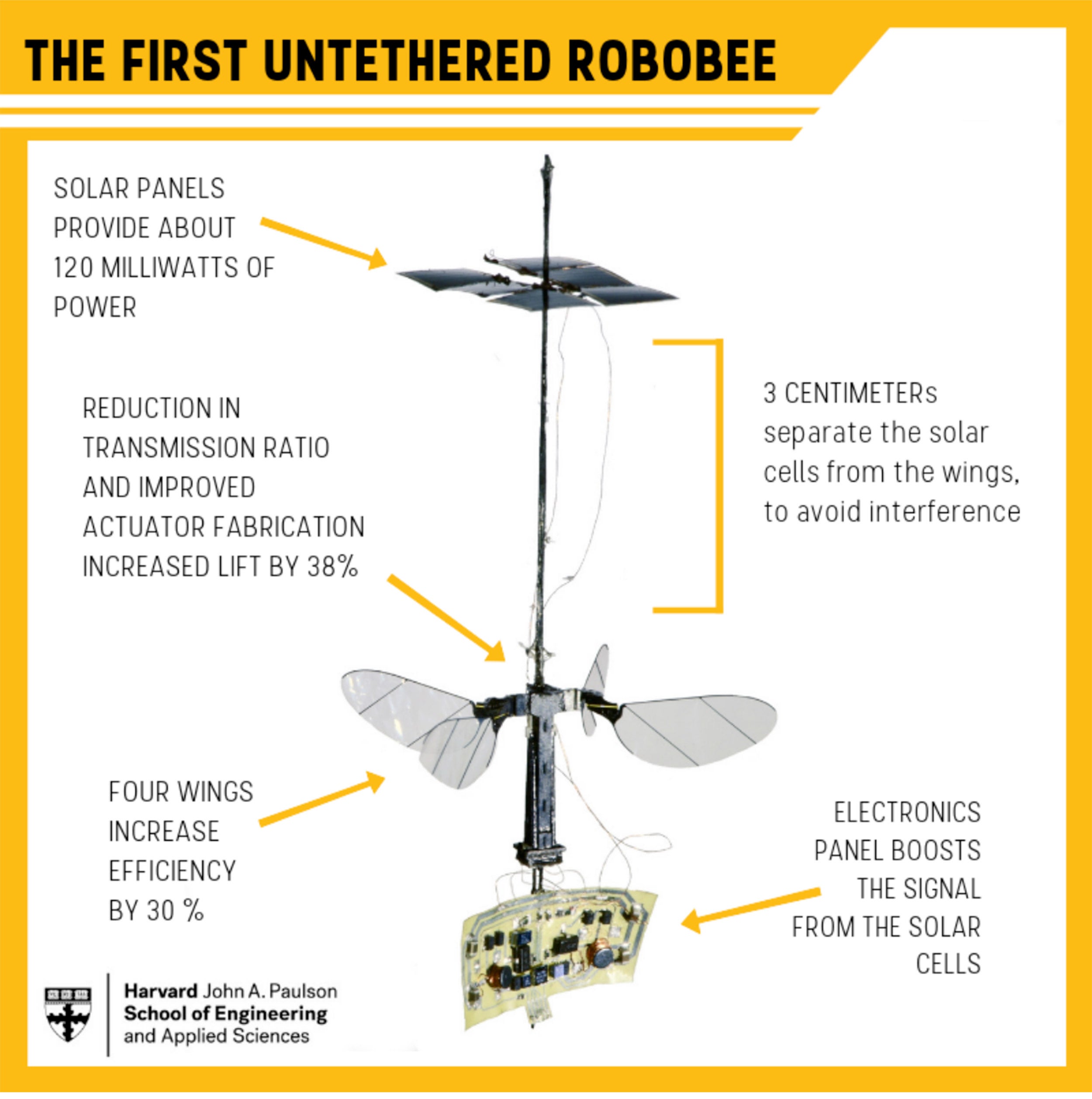 RoboBee card with design information
