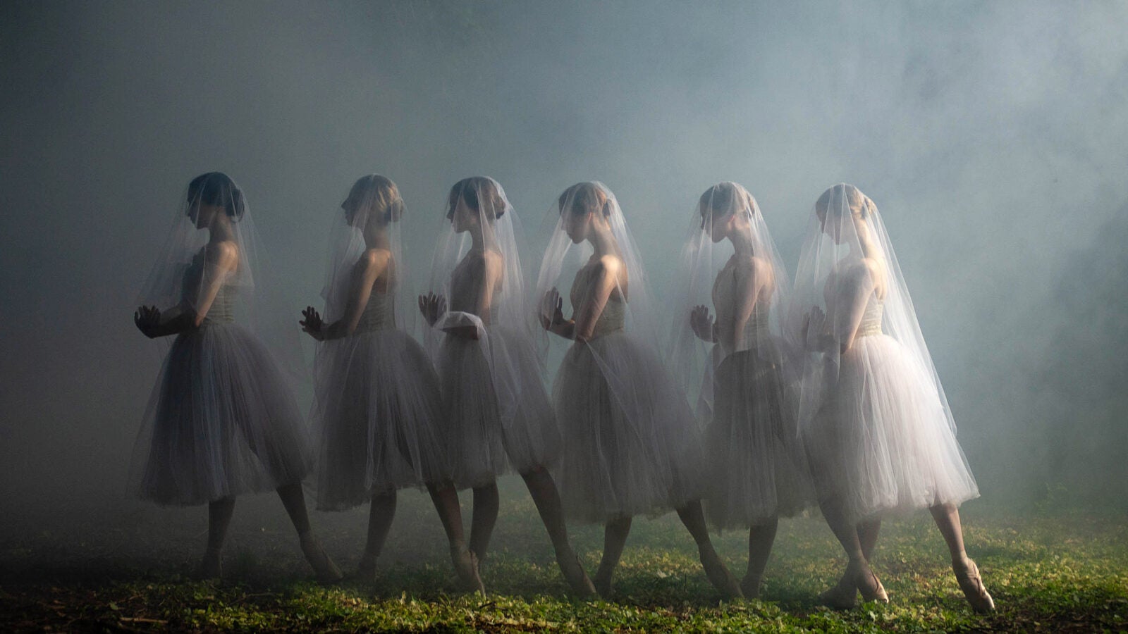 ballet dancers in a row in the mist