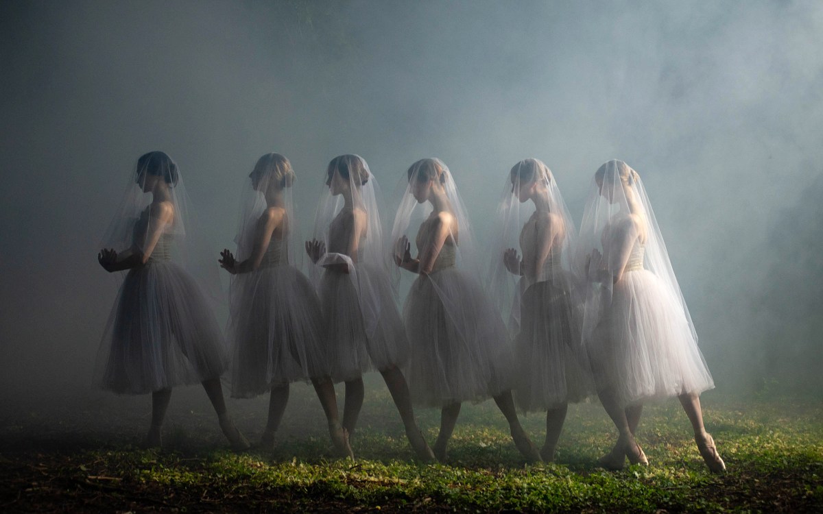 ballet dancers in a row in the mist