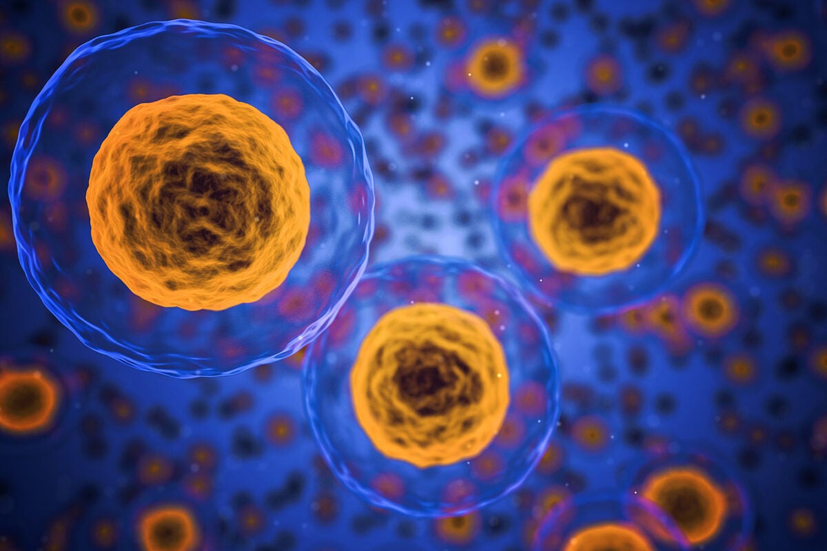 Rendering of cells in orange and blue.