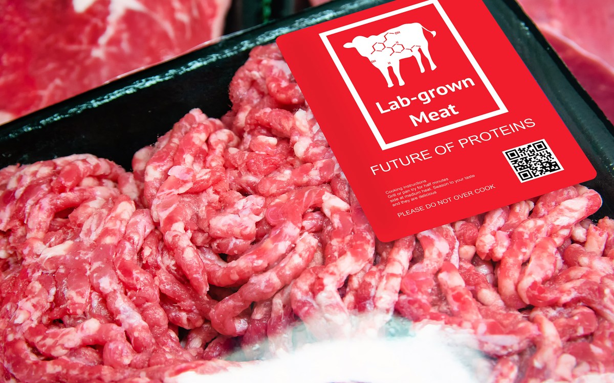 Package of lab-grown meat.