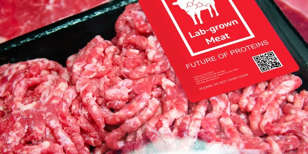 Package of lab-grown meat.