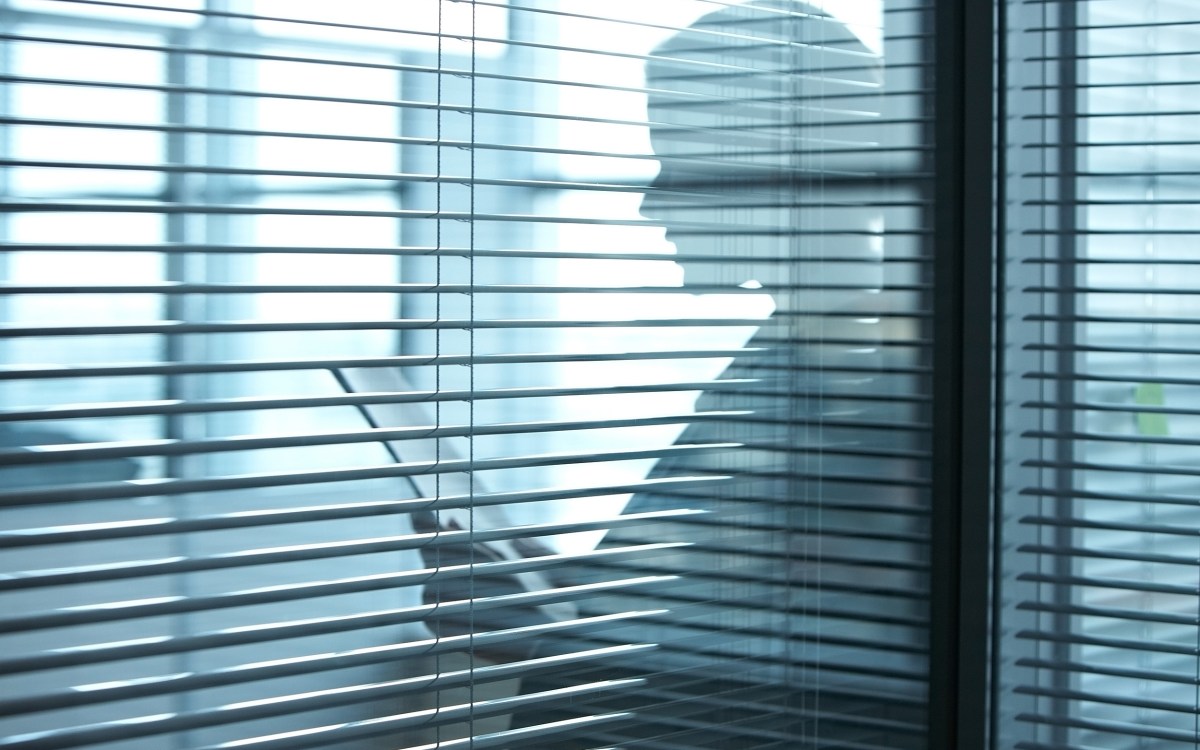Silhouette of a business woman with documents