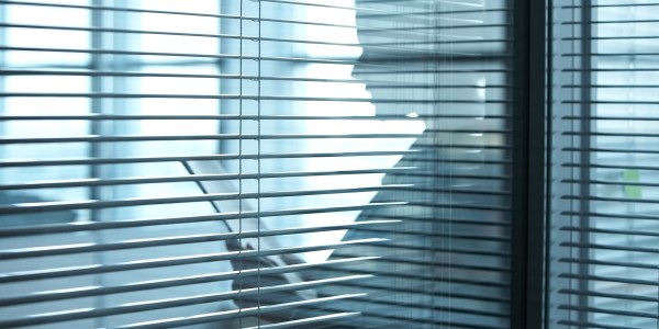 Silhouette of a business woman with documents