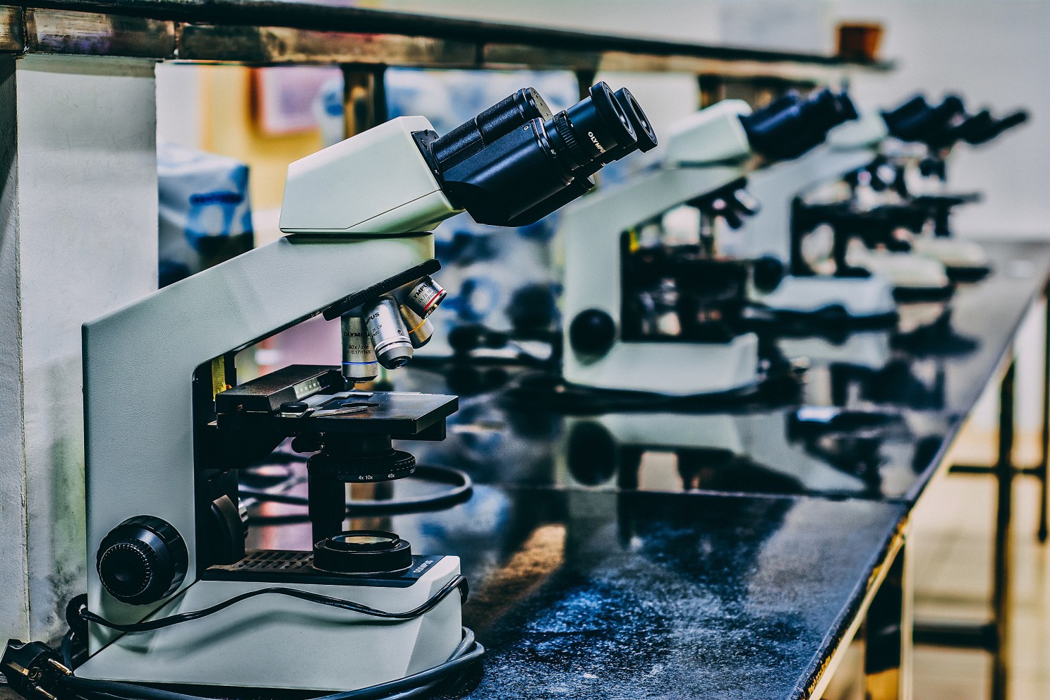 A row of microscopes on a bench