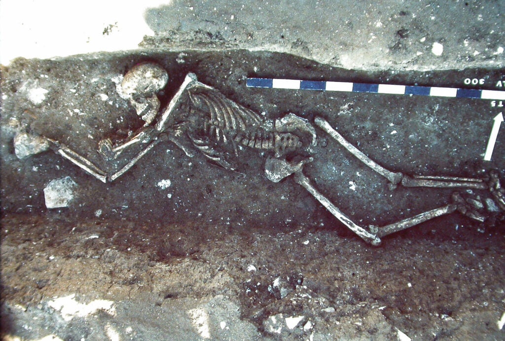 A tomb with a human skeleton