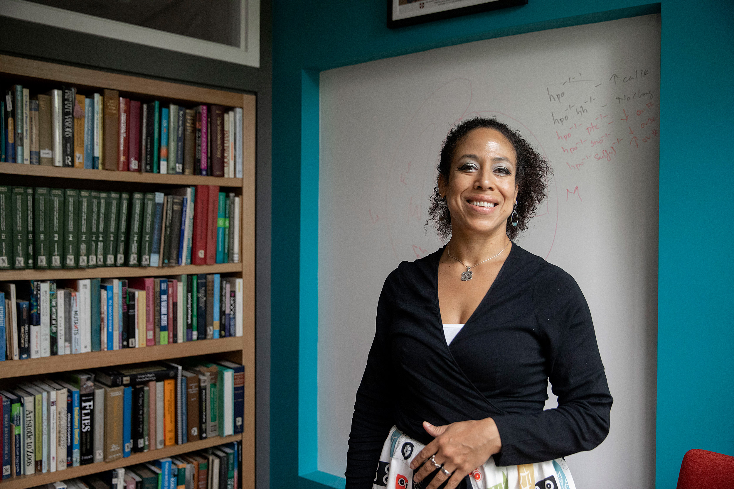 Understanding how evolution shaped the insect visual system — Harvard ...