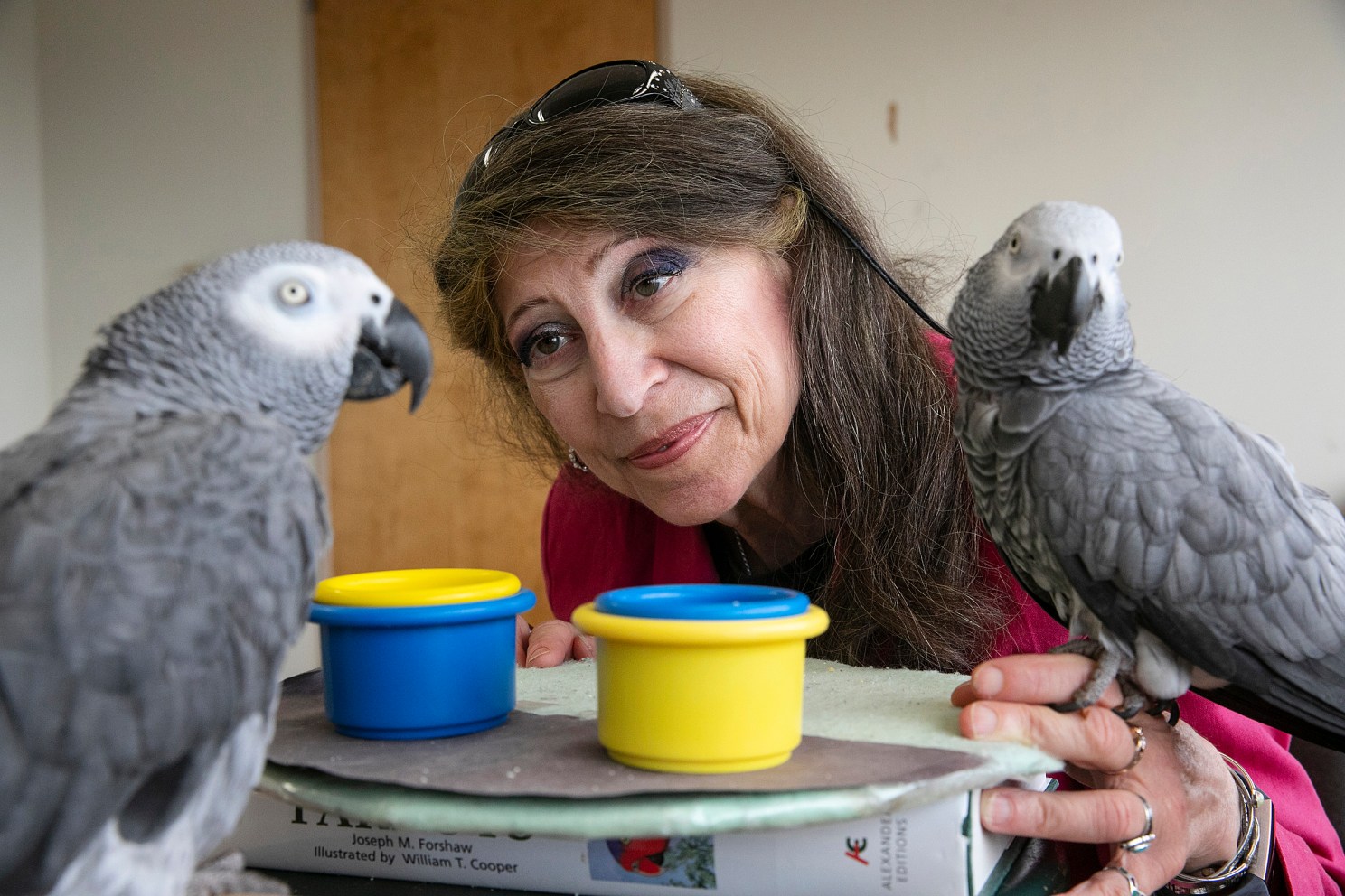 Woman looking at parrots