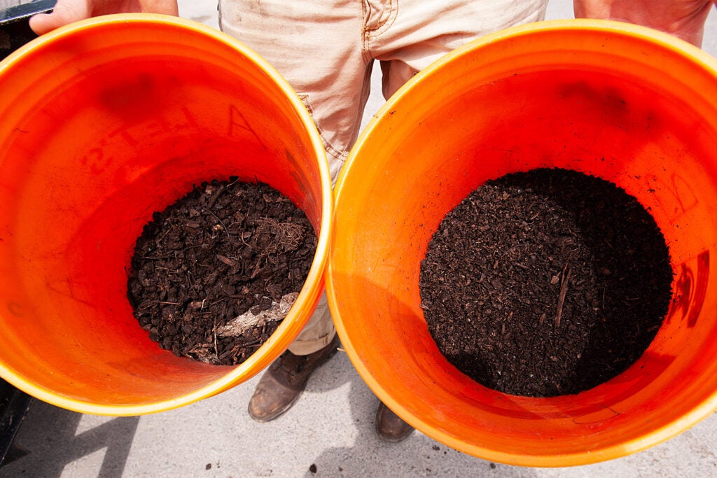 Two buckets of compost