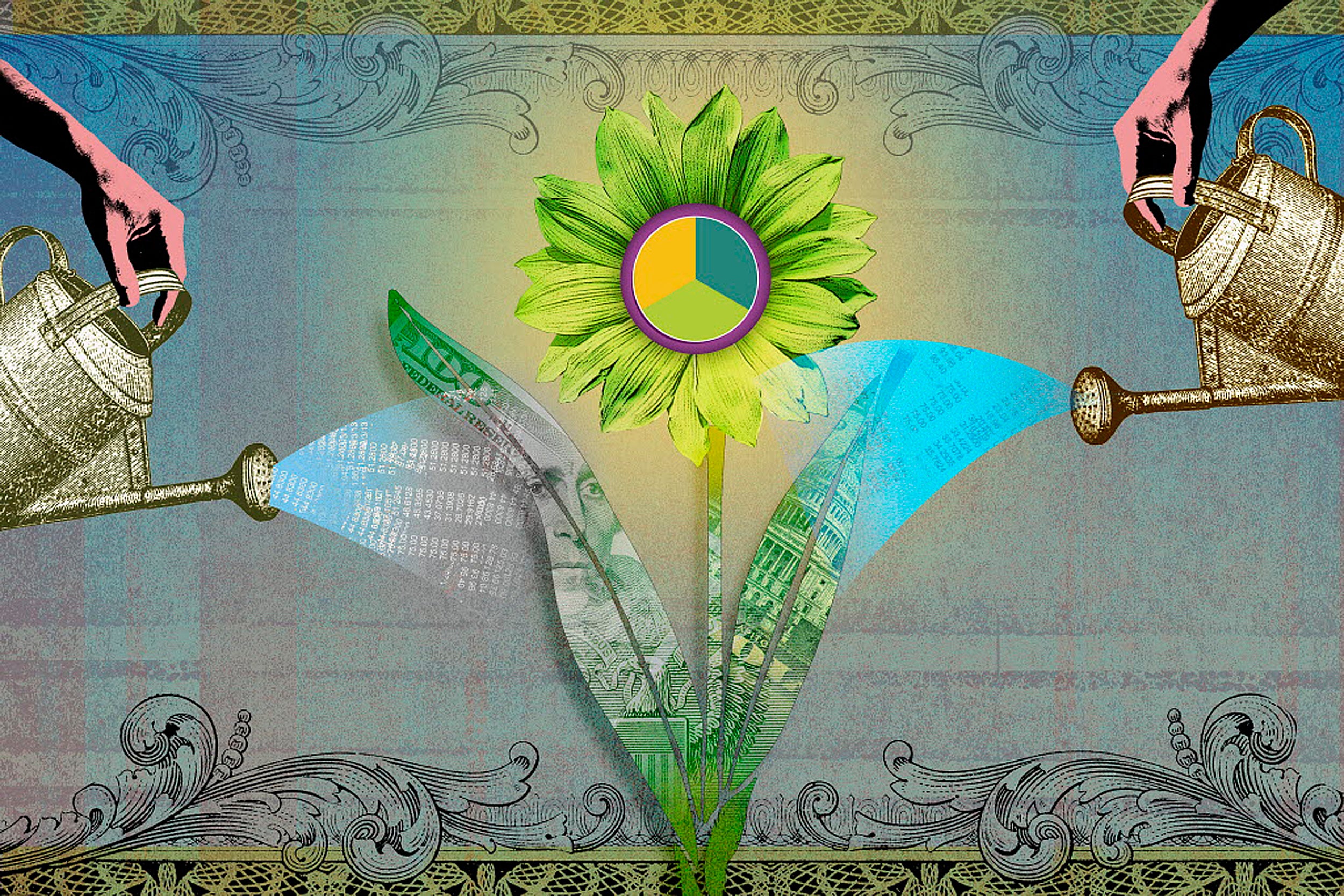 Illustration of financial flower being watered