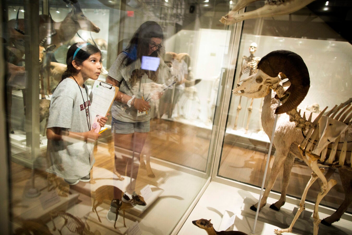 Addison Rich and Olivia Pappas explore some of the wonders at the Harvard Museum of Natural History.