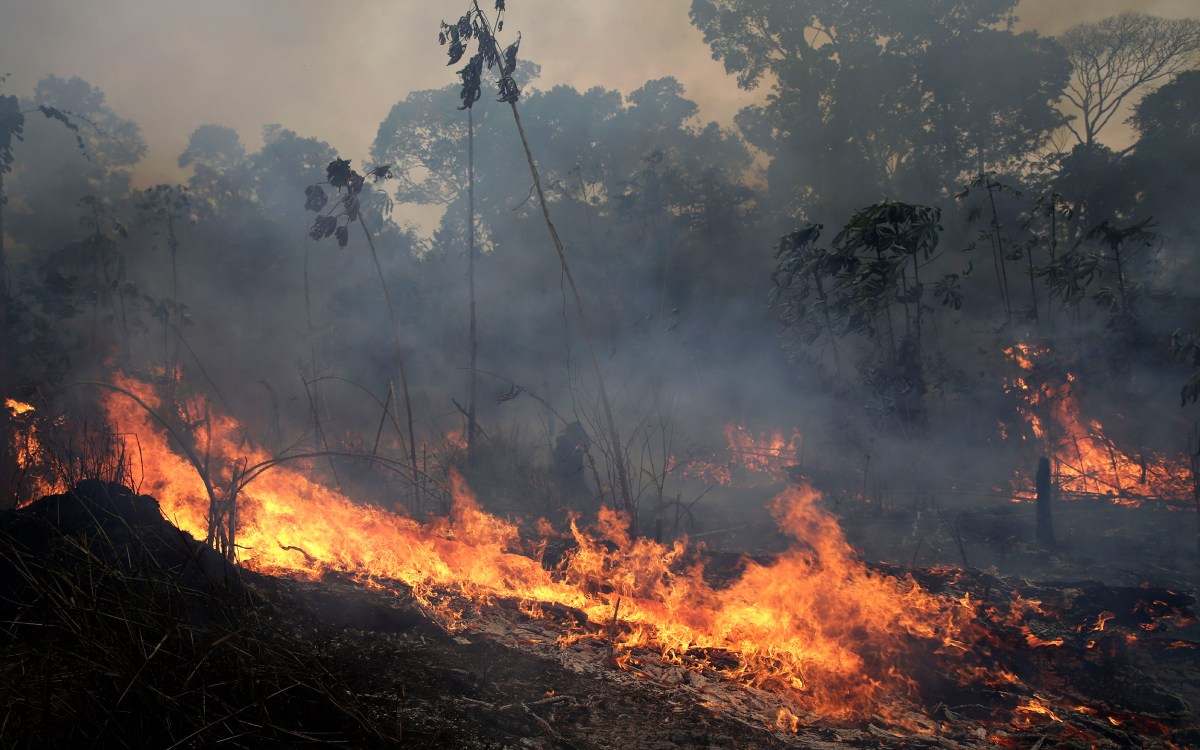 Fire in the Amazon
