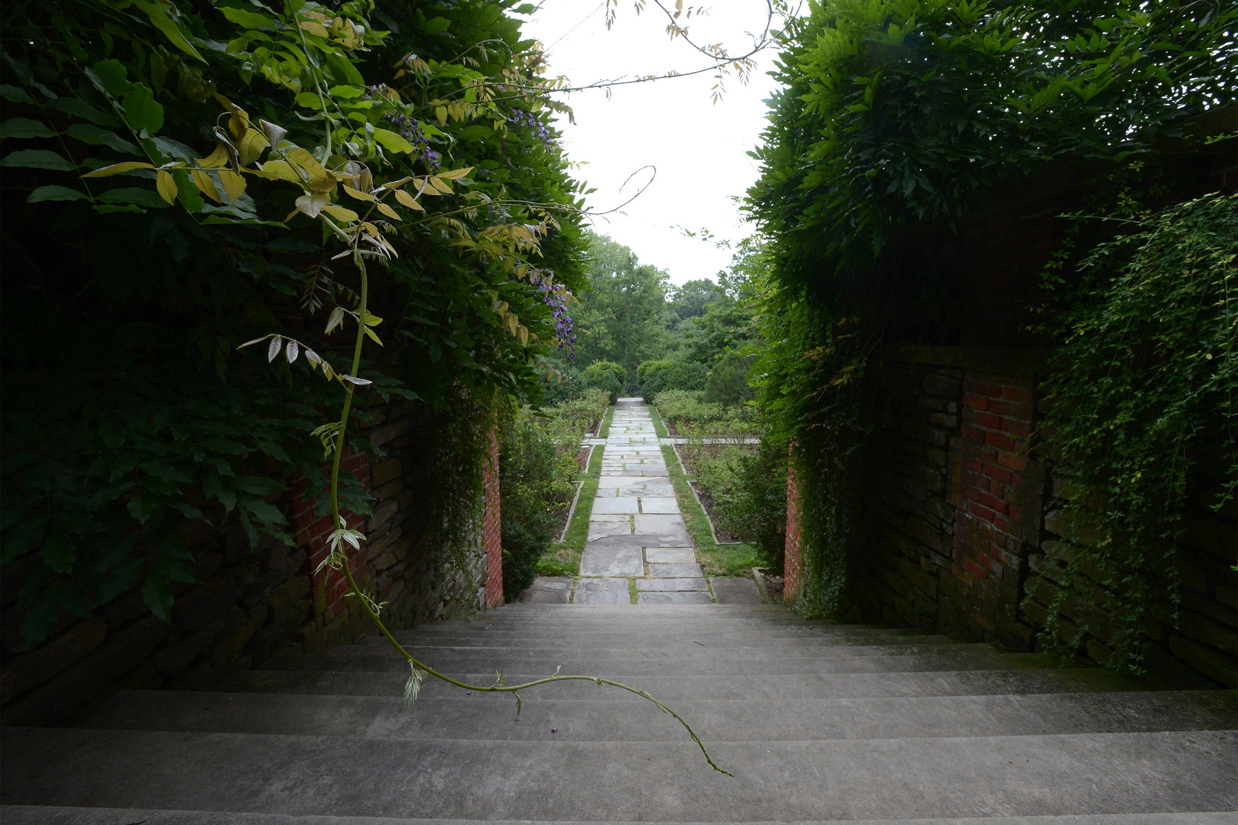 Dumbarton Oaks Research Library and Collections garden.