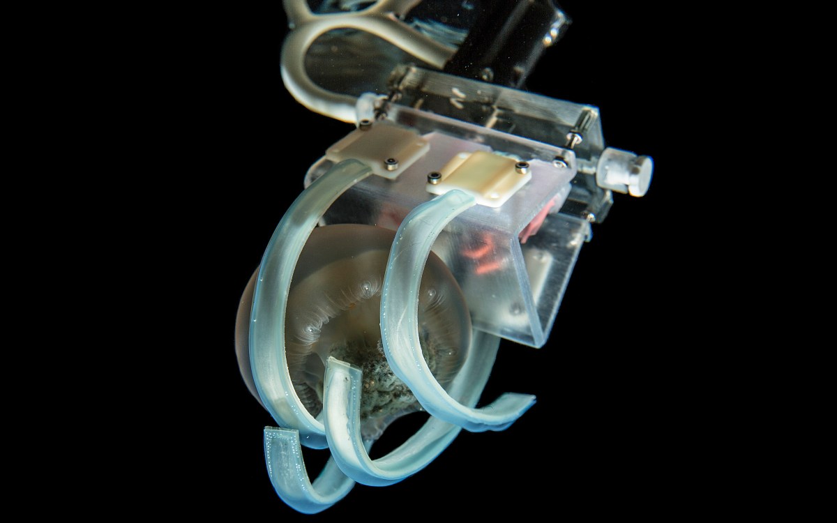 Soft robotic grippers for jellyfish