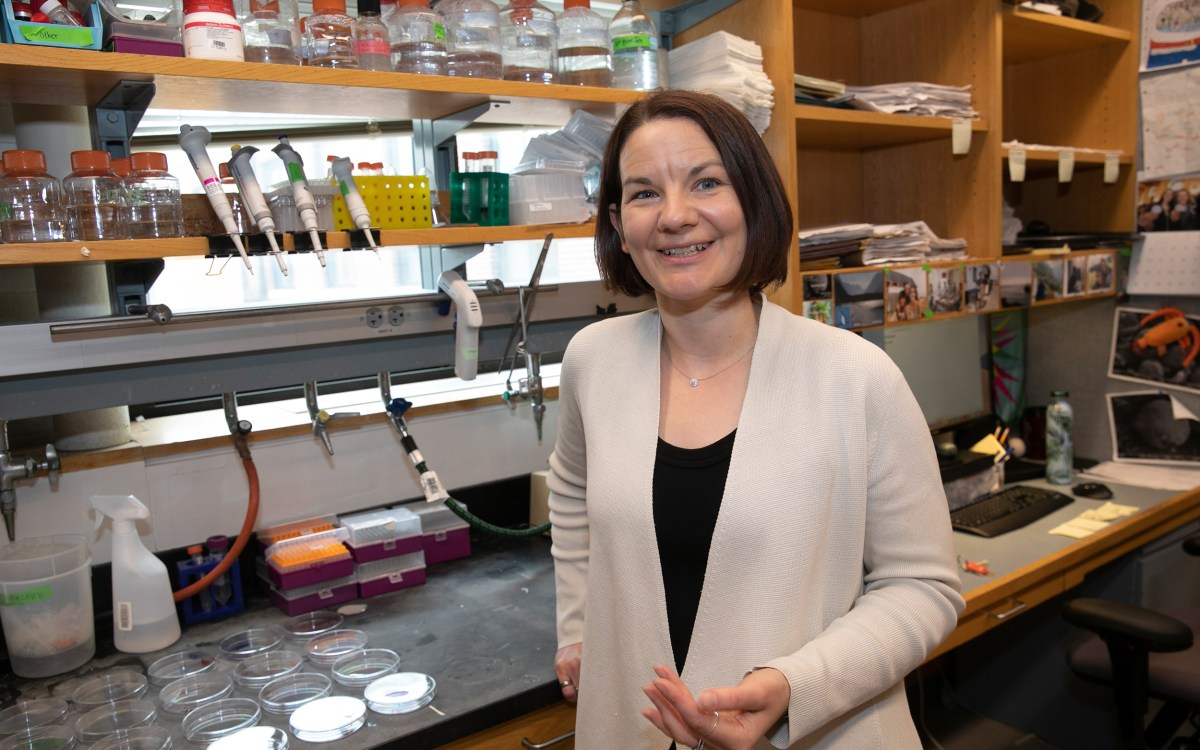 Emily Balskus in her lab.