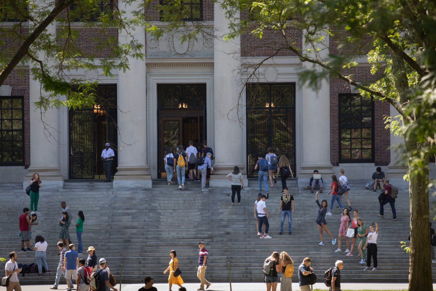 Widener library