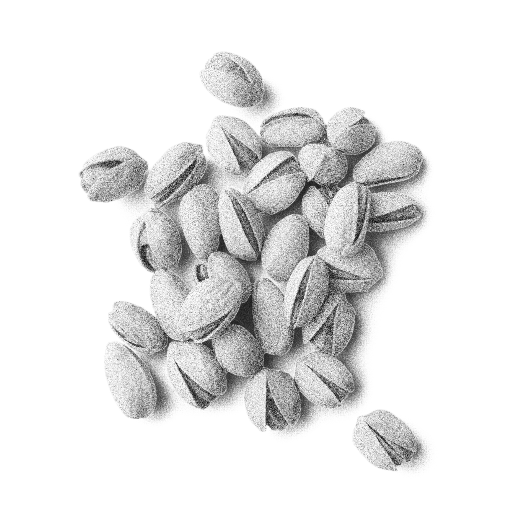 Illustration of scattered pistachios.