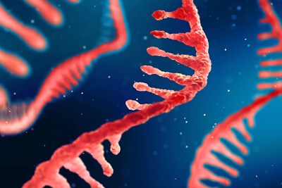 Harvard starts mRNA immunotherapy research collaboration with Moderna –  Harvard Gazette