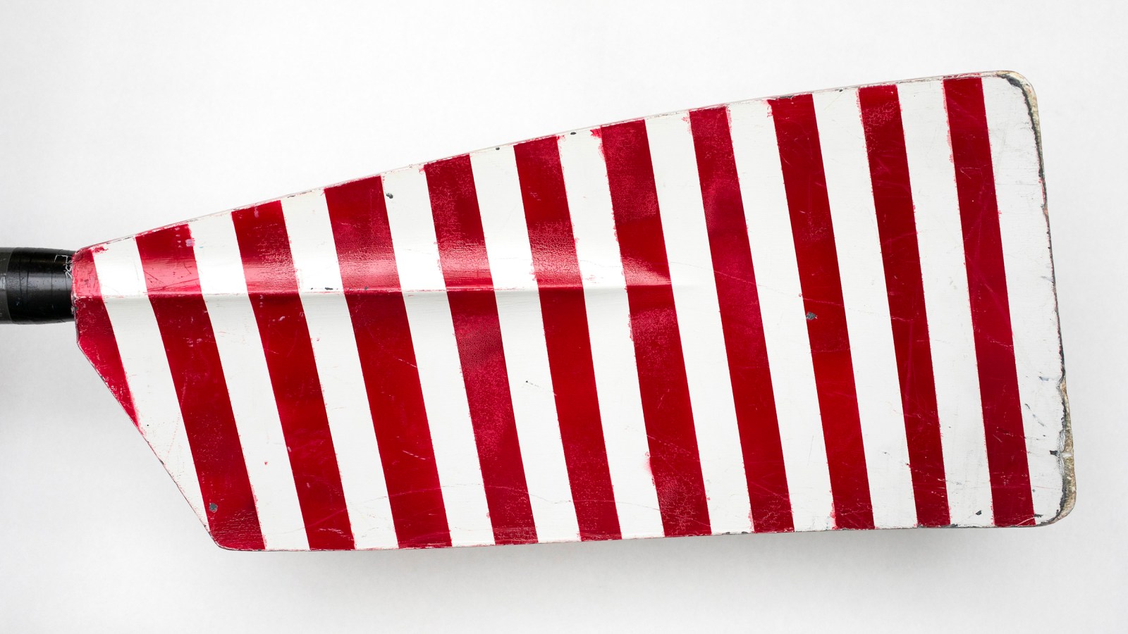 Harvard’s rowing oars Harvard Gazette