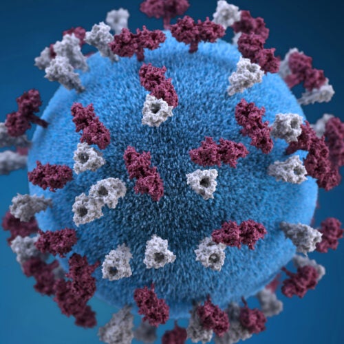 Measles virus shown enlarged.