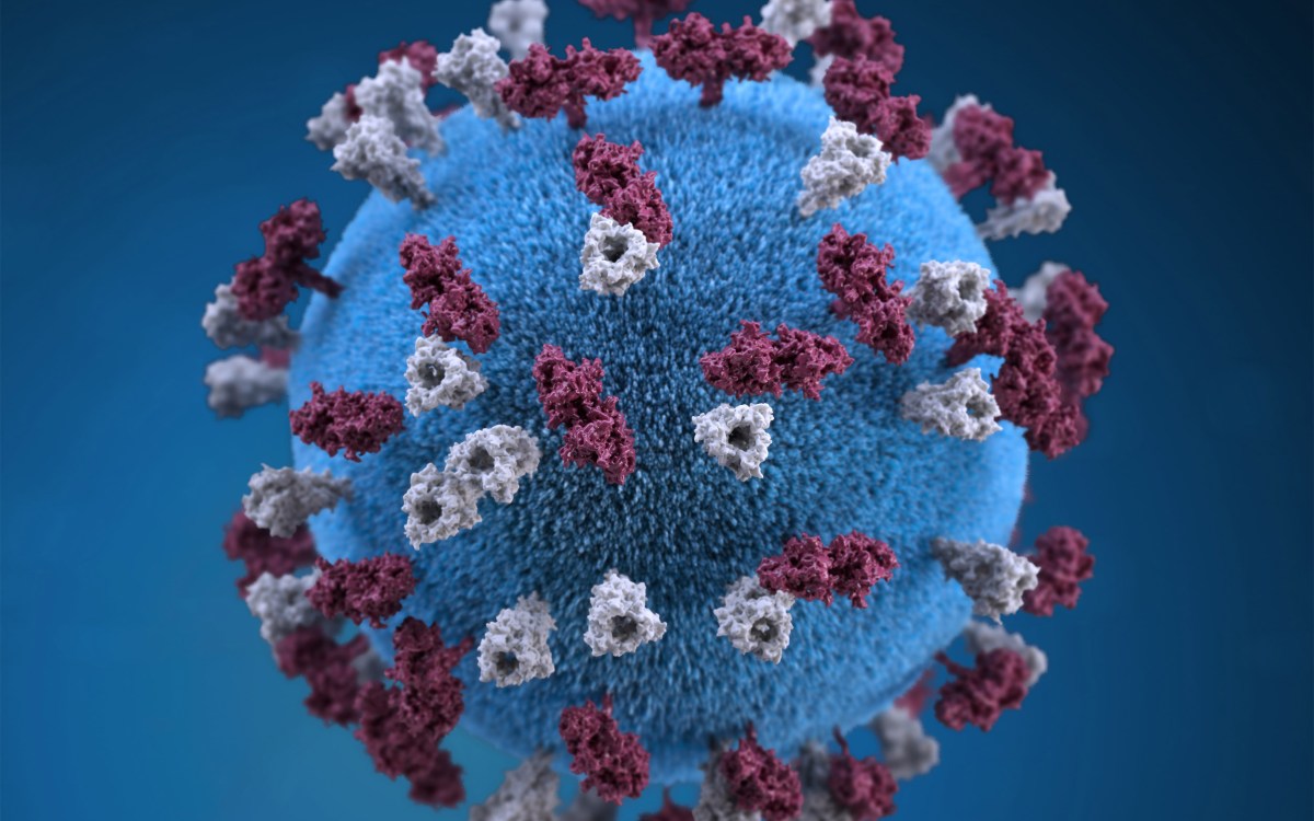 Measles virus shown enlarged.