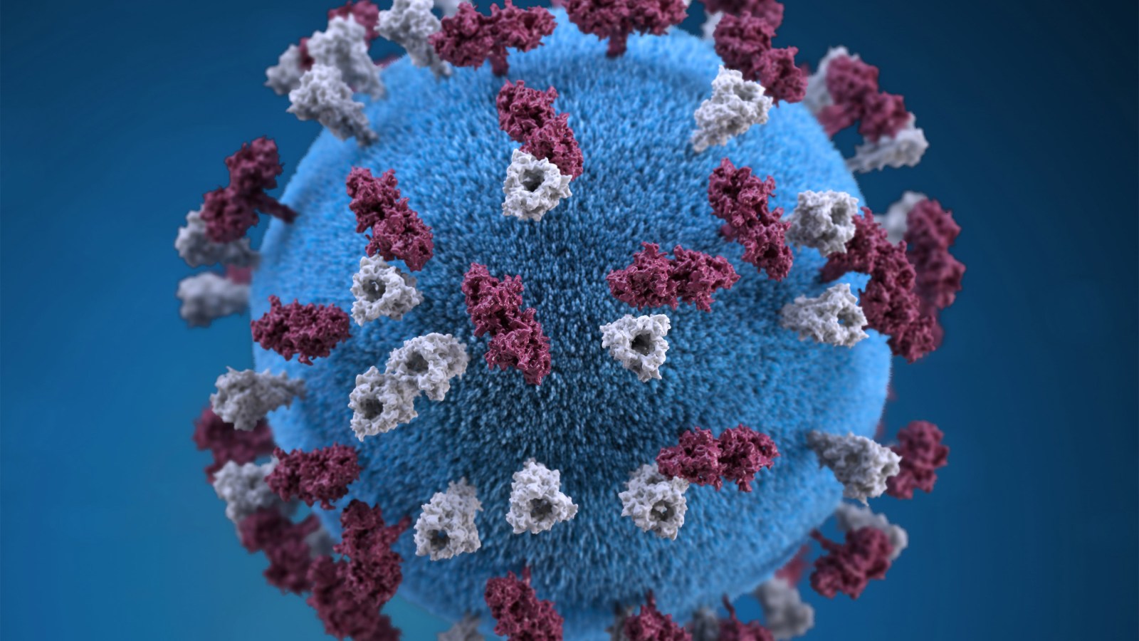 Study suggests how measles depletes body’s immune memory – Harvard Gazette