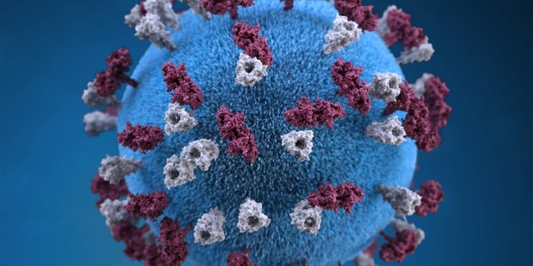Measles virus shown enlarged.