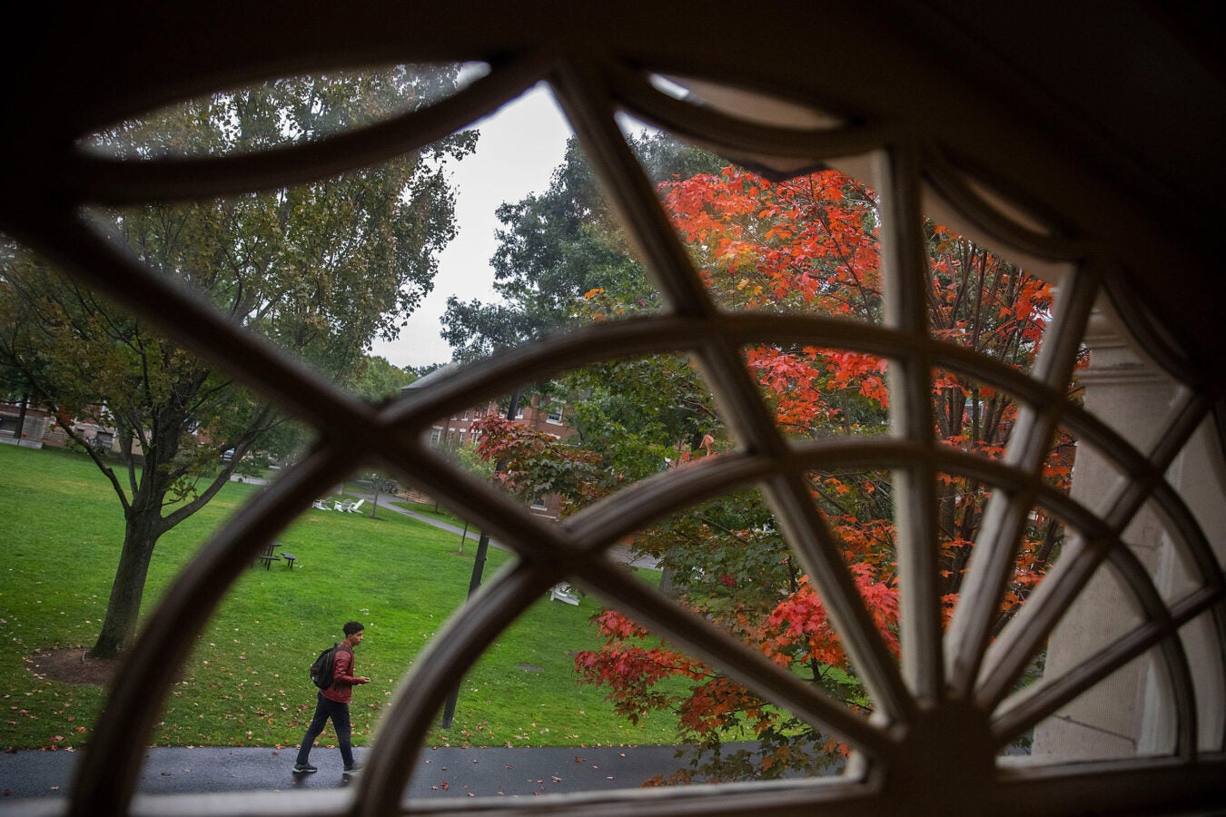A student walking by a window with a frame that looks like a metal spider web.