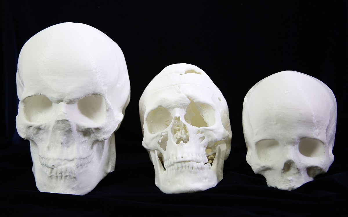 Three 3D printed skulls lined up against a black background